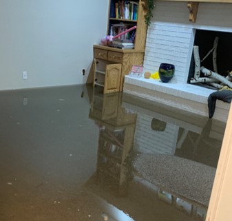 FloodedBasement