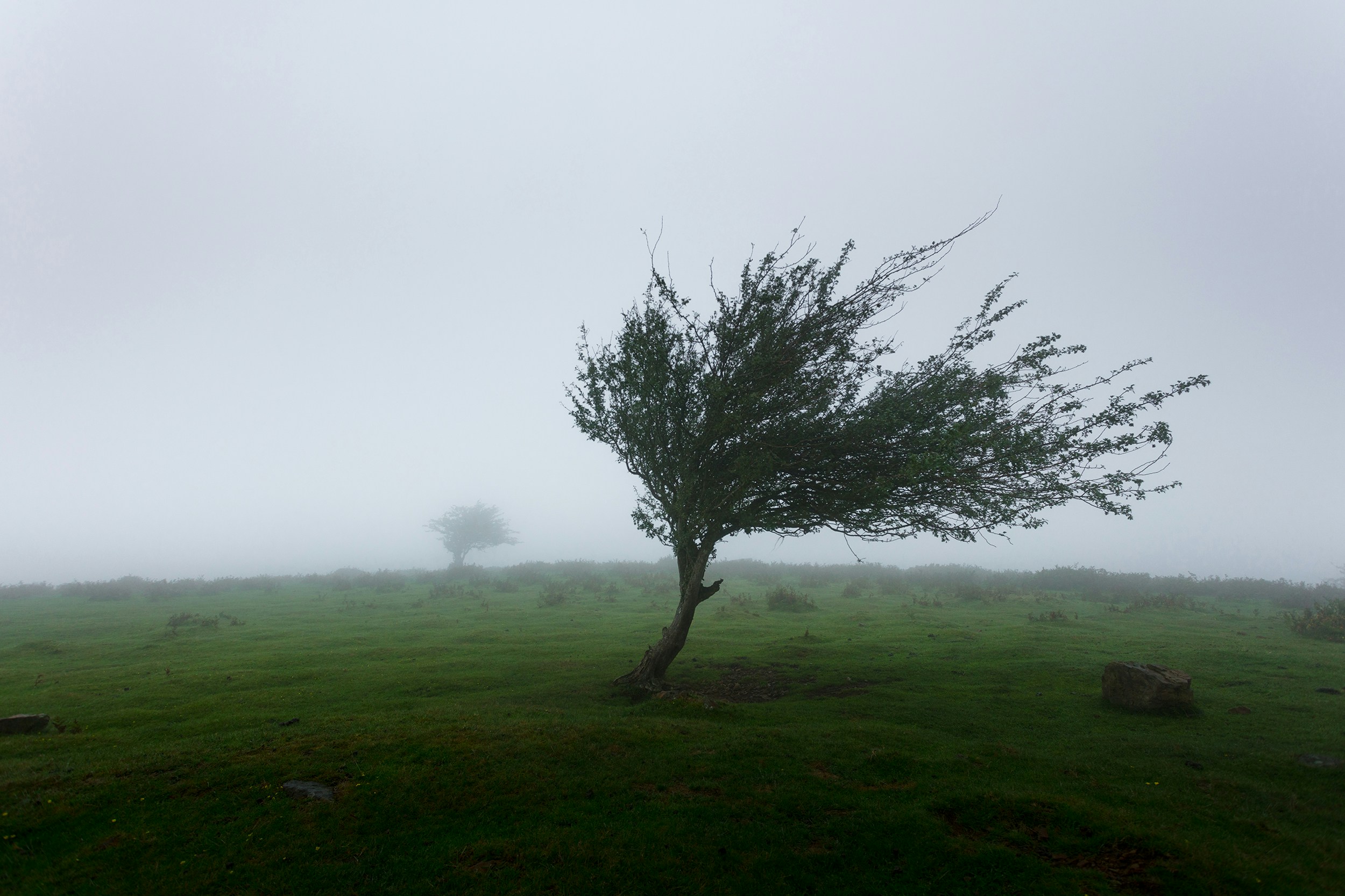 Winds